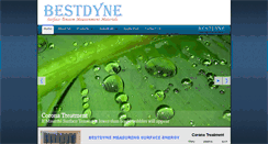Desktop Screenshot of bestdyne.com